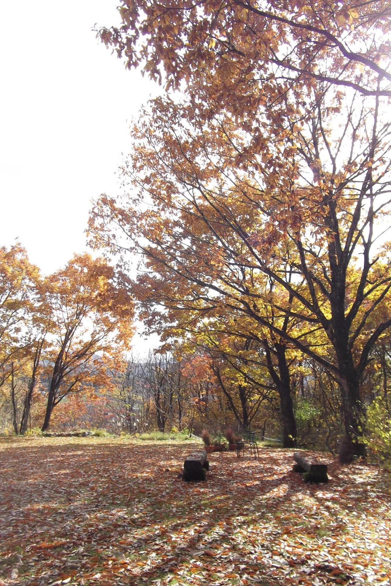 Pension Green Lake Gujō Dış mekan fotoğraf
