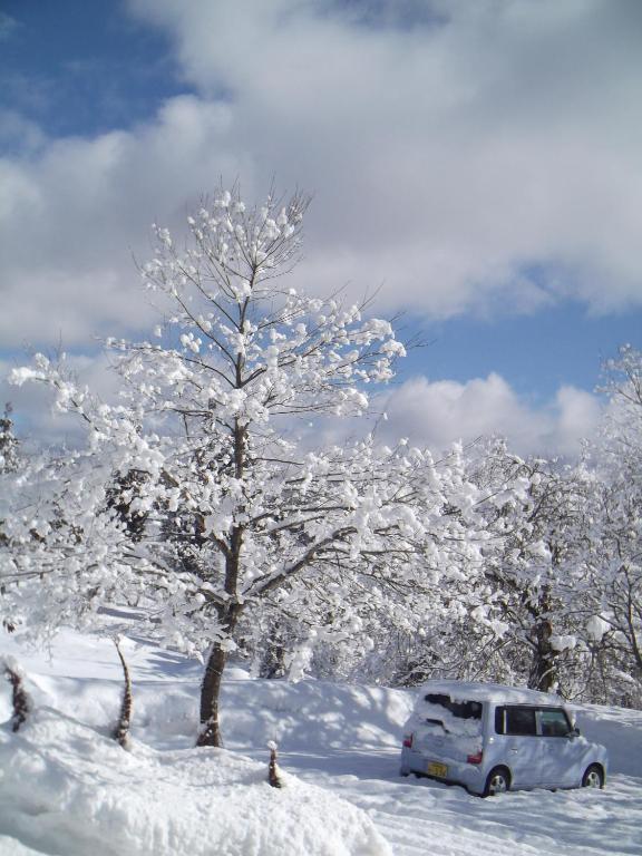 Pension Green Lake Gujō Dış mekan fotoğraf